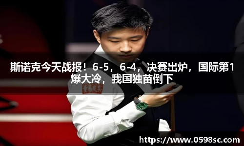 星空综合官方网站